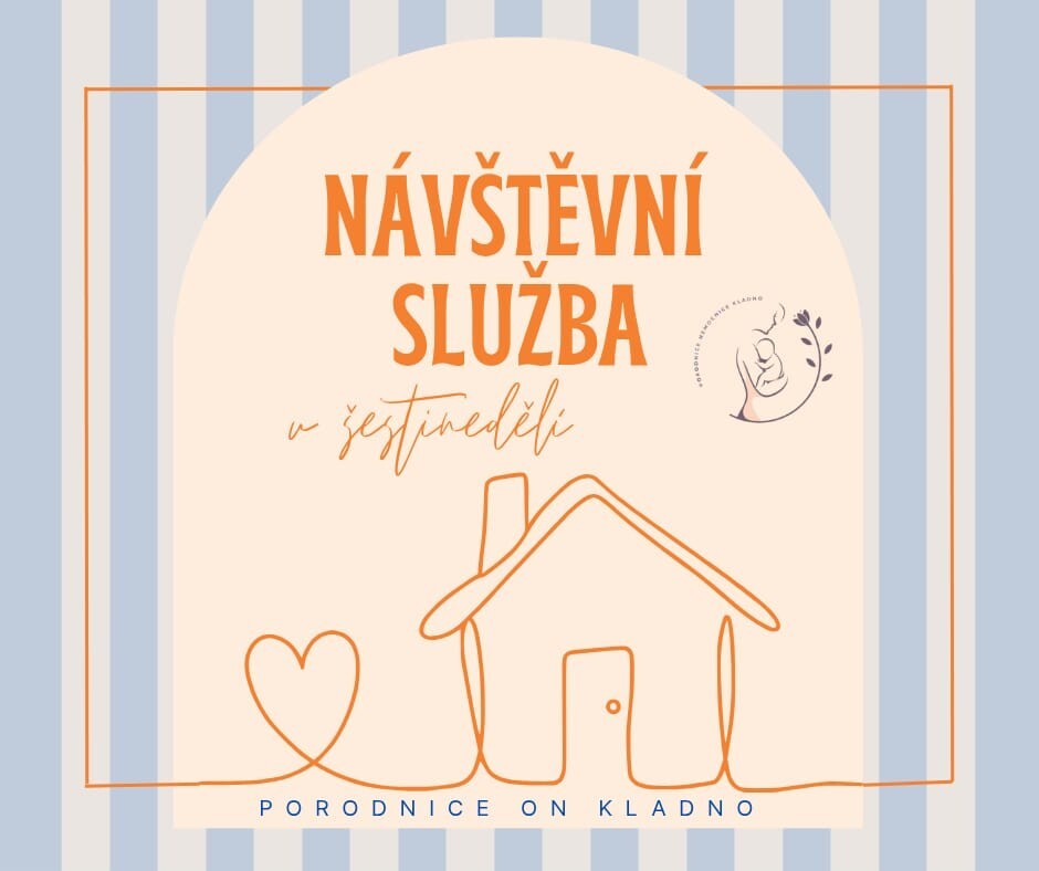 porodnice navstevni sluzba