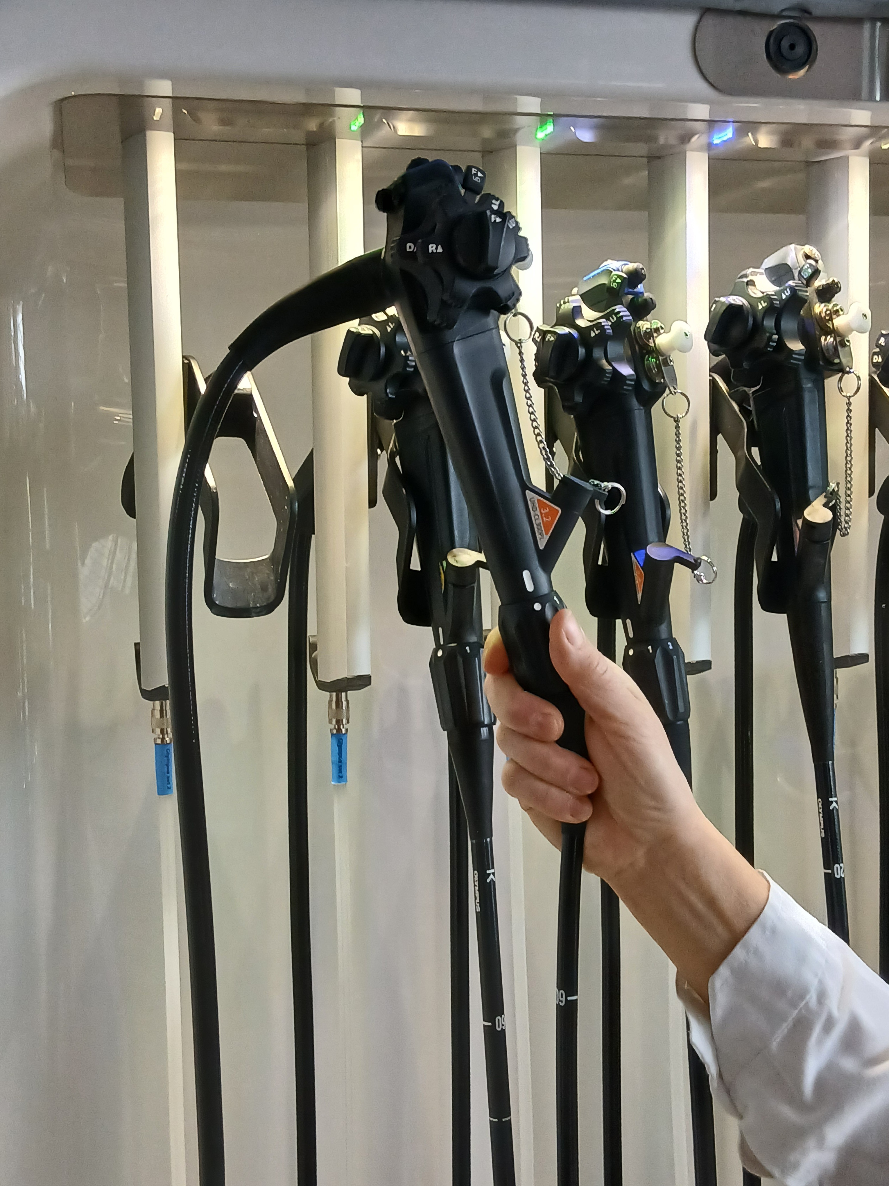 kolonoskop dospeli 26 11 2025