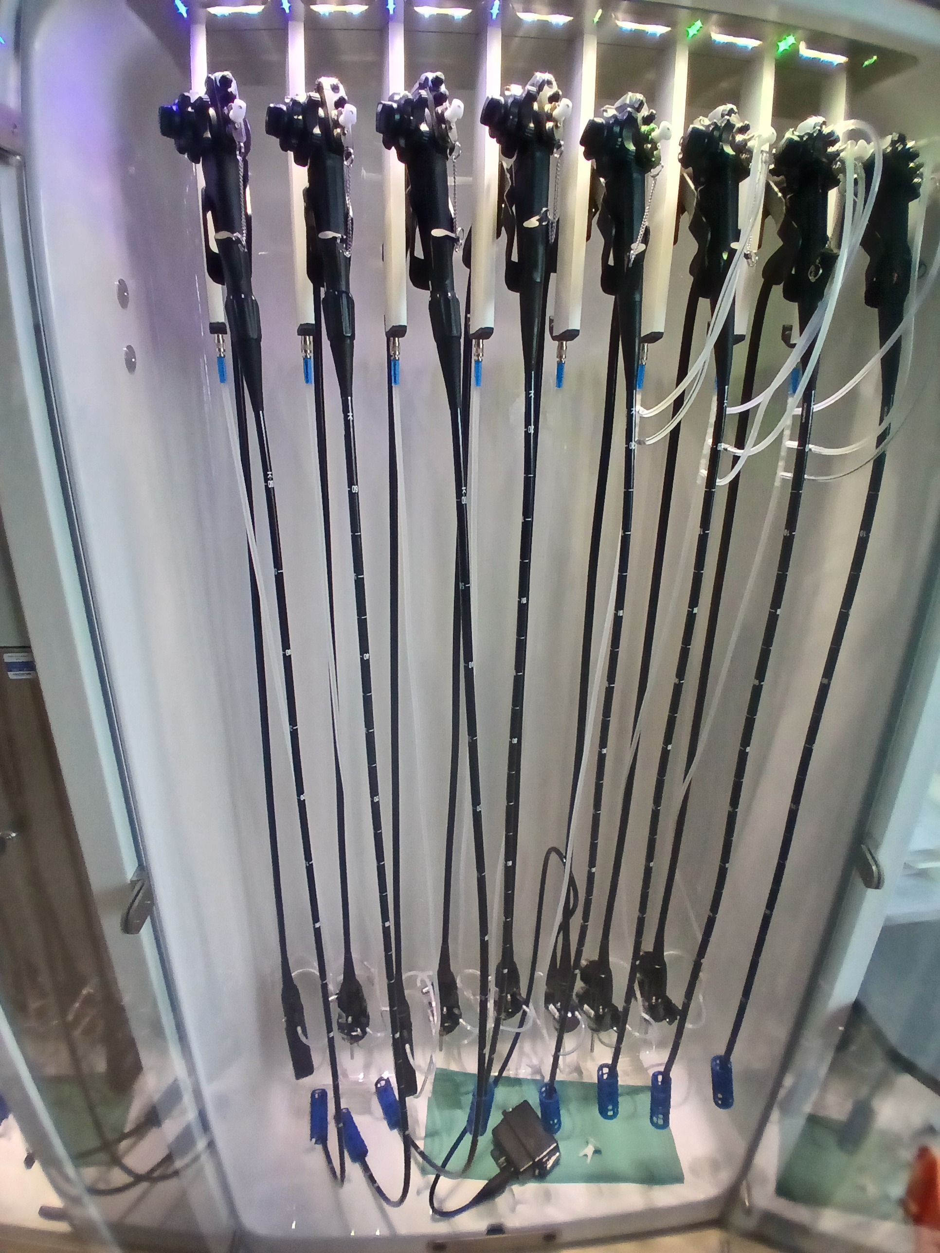 kolonoskopy v celku nove prvni a treti zleva 26 11 2025